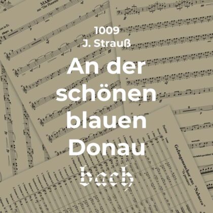 1009 - An der schönen blauen Donau