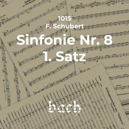 1015 - Sinfonie Nr. 8 1. Satz