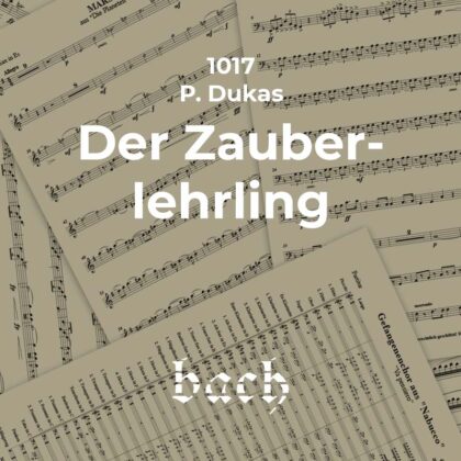 1017 - Der Zauberlehrling